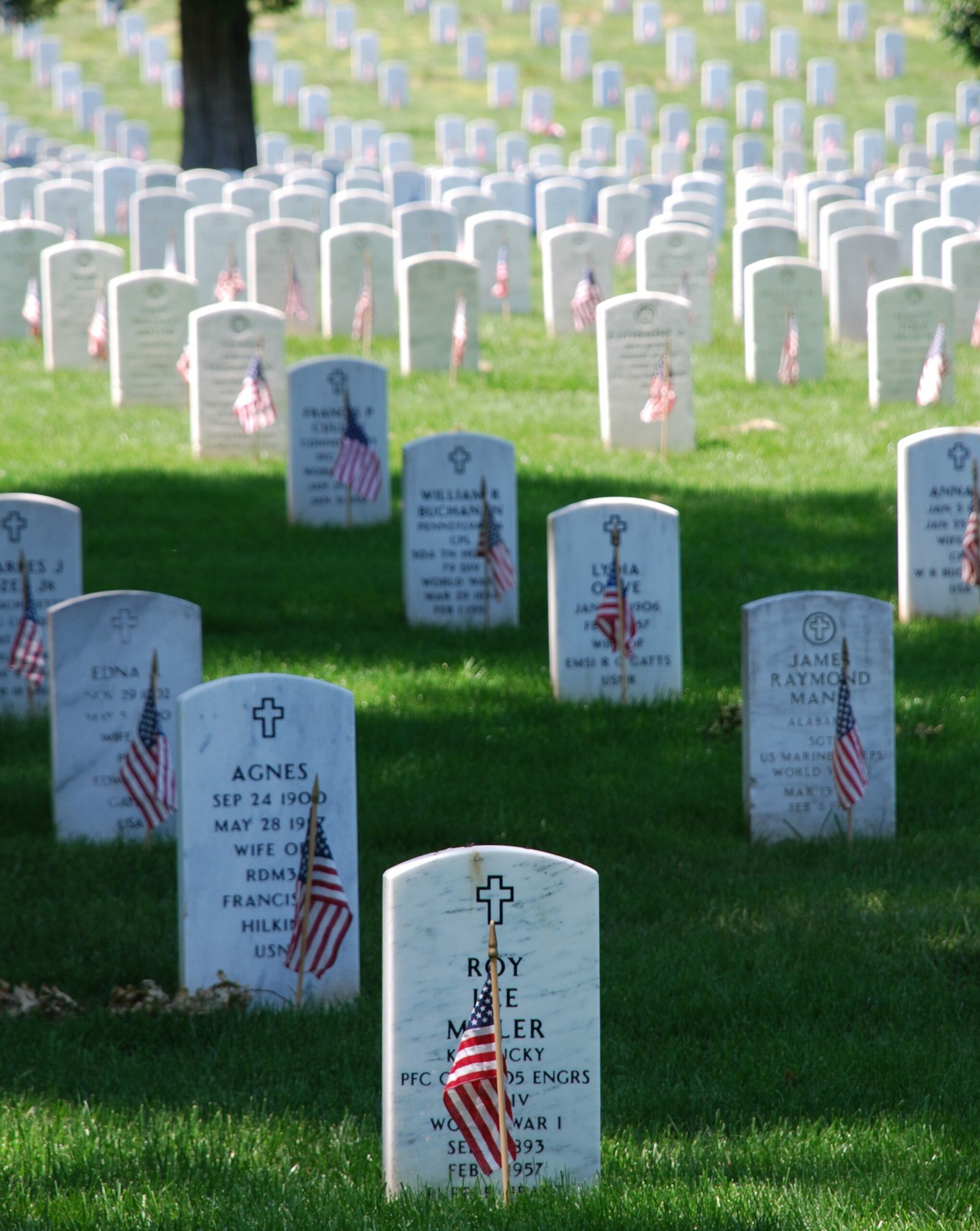 graves at arlington on memorial day