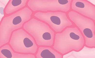 epithelioid cell image