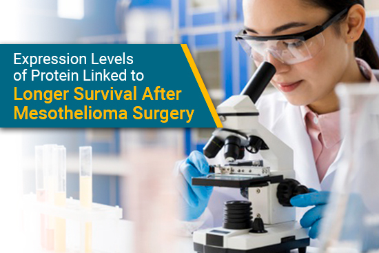 Scientist looks into microscope at mesothelioma protein in tissue samples