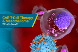 CAR T-cell therapy for mesothelioma research