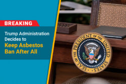 Trump asbestos ban