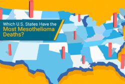 mesothelioma deaths by state graphic