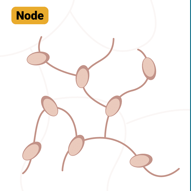 Diagram illustrating a cell with a node and another cell, representing an example of the TNM system.