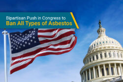 U.S. Capitol building and flag