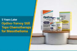 Opdivo and Yervoy survival information