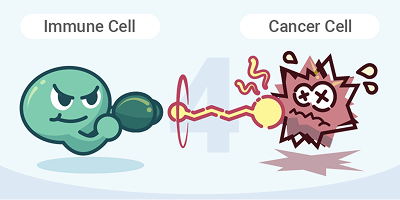 Immune cells targeting remaining cancer cells