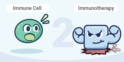 Immunotherapy alerting the immune system to cancer cells