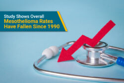 A study from the Sylvester Cancer Center has shown overall mesothelioma rates have dropped since 1990.