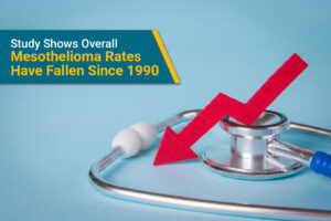 A study from the Sylvester Cancer Center has shown overall mesothelioma rates have dropped since 1990.